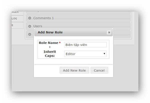 aam-create-role-02