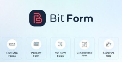 Bit Form Pro