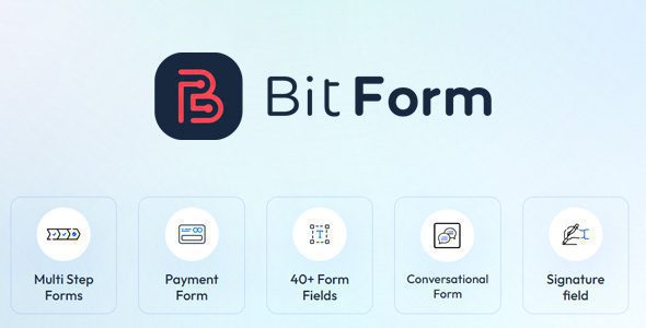 Bit Form Pro