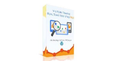Visitor Traffic Real Time Statistics