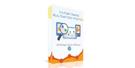 Visitor Traffic Real Time Statistics