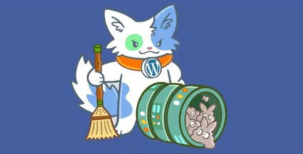 Database Cleaner Pro